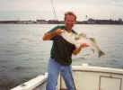 markfish.jpg (19696 bytes)