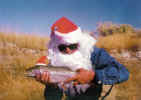 santa2.jpg (49553 bytes)